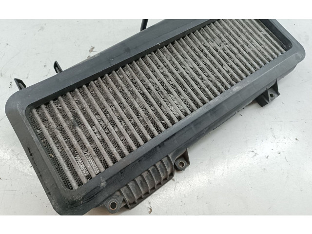 Интеркулер     Peugeot 306 