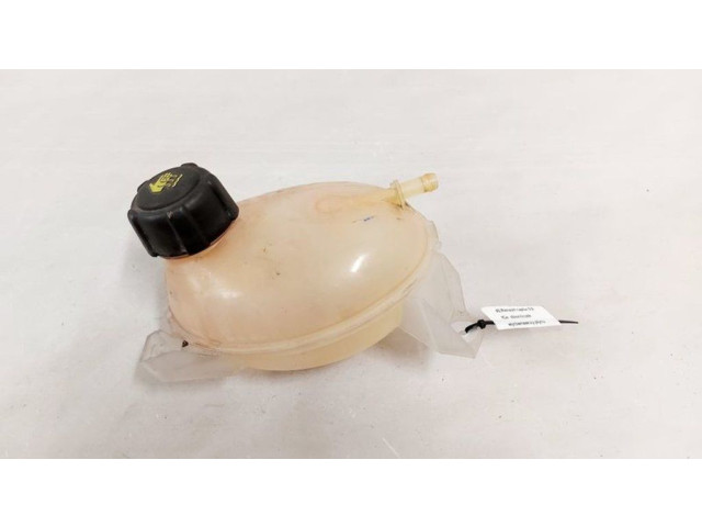 Расширительный бачок охлаждающей жидкости