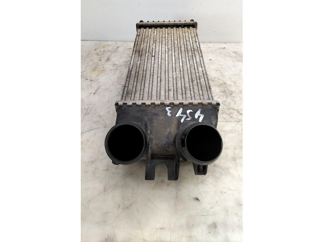 Интеркулер 00000384G5 Citroen Berlingo