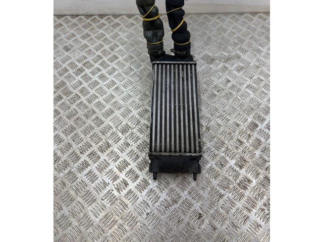 Интеркулер  9800291280, 98733T01   Citroen DS4 