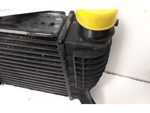 Интеркулер 131302014255 Nissan Note (E11)