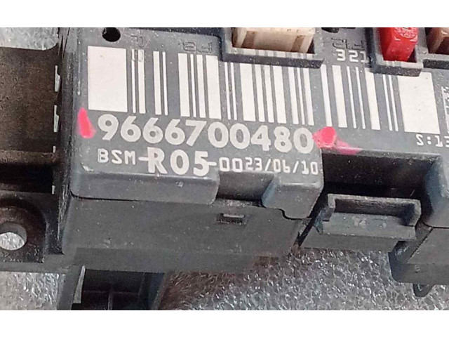 Pojistková skříňka 9666700480 Citroen Berlingo 2008