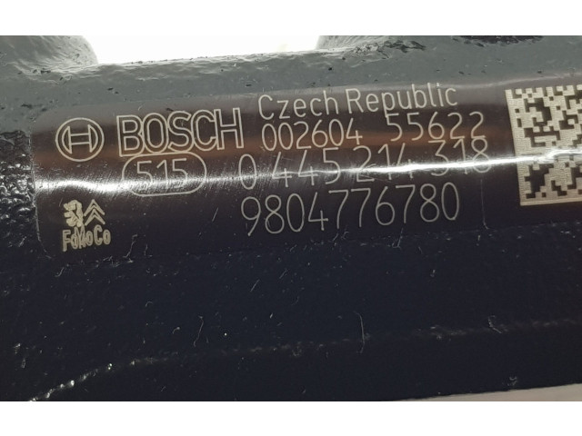 Vstřikovací lišta 9804776780, 9804776780 Citroen Berlingo