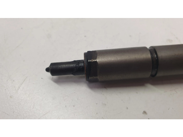 Vstřikovač 0445110270, 96440397 Chevrolet Captiva pro naftový motor 2.0