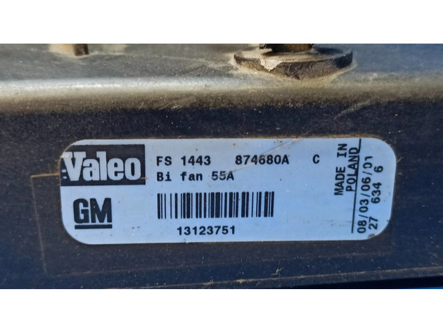 Вентилятор радиатора 874680A, 13123751 Cadillac BLS 1.9