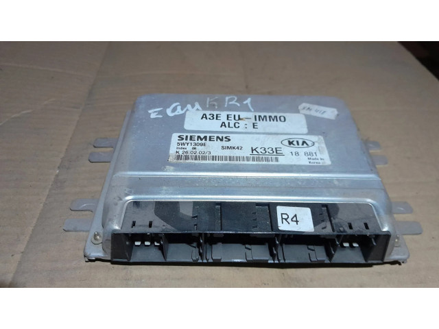 Řídící jednotka 5WY1309E KIA Rio 2002