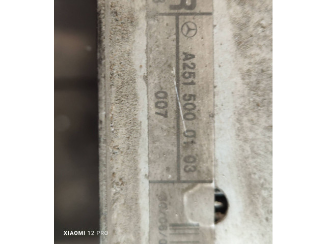 Электрический вентилятор радиаторов A2515000103 Mercedes-Benz R W251