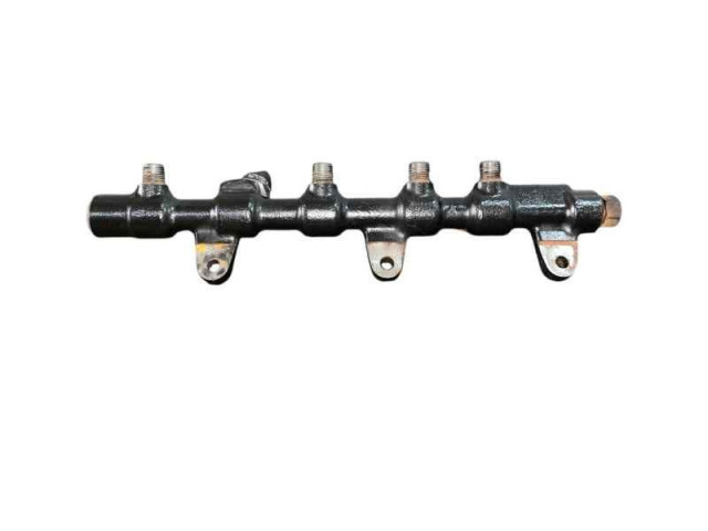 Vstřikovací lišta 315004X500, DELPHI   KIA Carnival    J3 