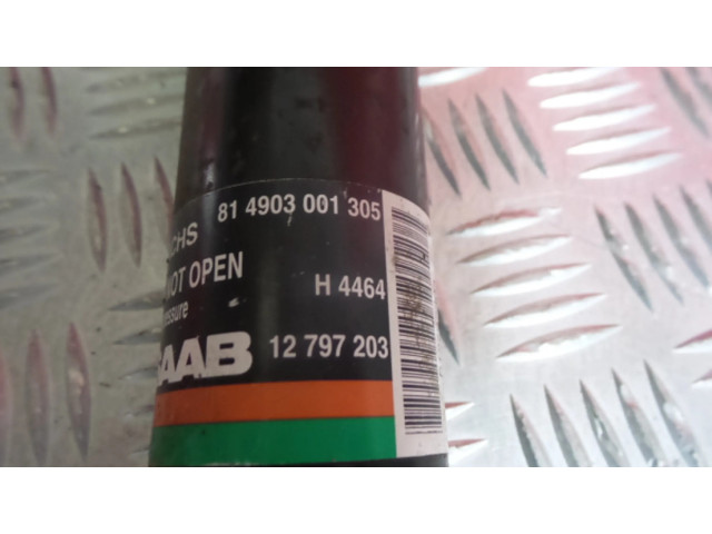 Задняя пневматическая (воздушная) подушка с амортизатором