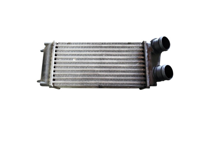 Интеркулер 9648551880, 876923JF Citroen C4 I