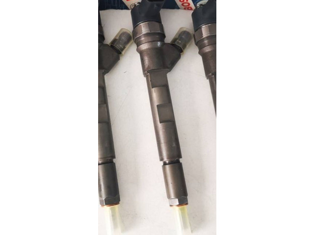 Форсунка 0445110059, 510990024    Jeep Cherokee III KJ   