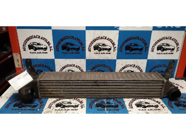 Интеркулер Seat Alhambra (Mk1) 1.9