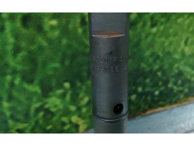 Форсунка 059130201F, BOSCH    Audi A6 S6 C5 4B   