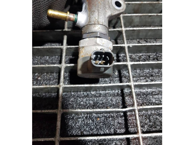 Vstřikovací lišta 011699L3, 8200842432 Nissan X-Trail T31 M9R