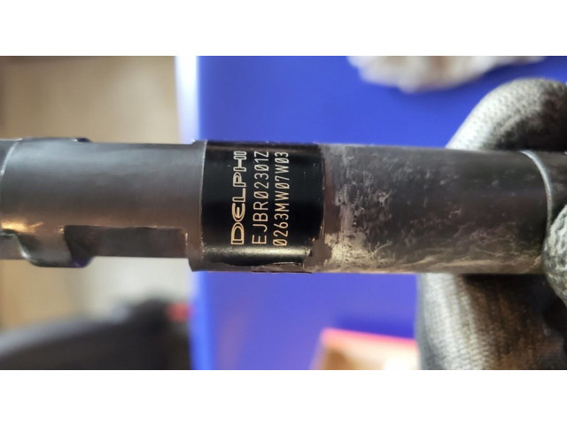 Форсунка 338004X500, Ejbr02301z KIA Carnival для дизельного двигателя 2.9